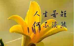关于阳光句子说说心情图片
