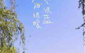 写上午好天气的句子有哪些