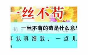不苟言笑和一丝不苟的苟是什么意思