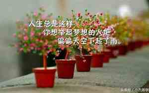 不懂珍惜经典句子怎么说
