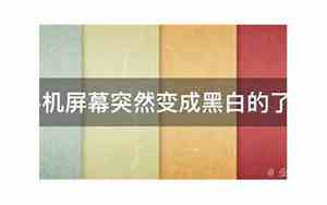 手机屏幕突然变成黑白色是什么原因
