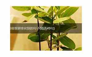 形容心情变化快的句子有哪些