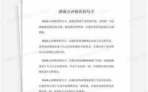 业绩点评精彩句子摘抄