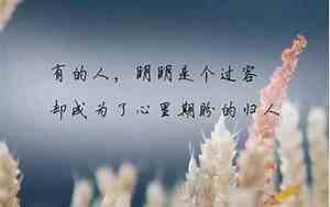 友谊的古风的句子简短