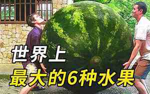 世界上最大的淡水湖是哪个
