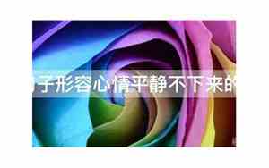 形容心情平静不下来的句子有哪些
