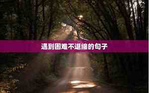 写出遇到困难也不放弃的句子英语