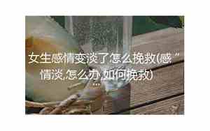 女生如何挽救感情呢