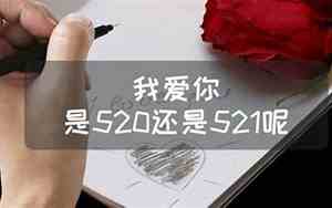 521数字代表什么意思感情含义