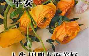 对别人早安的句子图片带字伤感