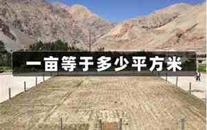 一亩地是多少平方米是怎么算的