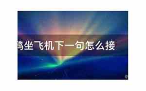 乌鸦坐飞机下一句怎么说