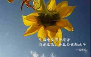 关于情感又有哲理的句子是哪一句