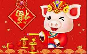 2019年是什么猪,是金猪年吗