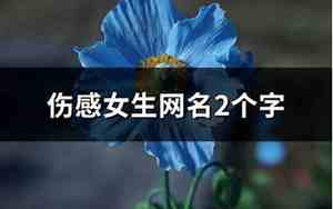 qq伤感两个字网名大全