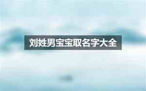 刘辩宝宝名字大全集