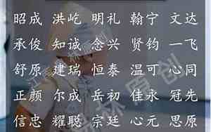 偏僻而又好听的名字男孩两个字