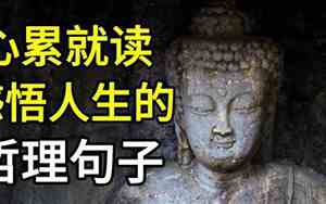 佛家的因果报应的句子是什么