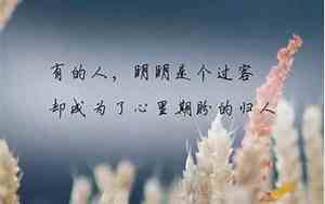 友情走了很舍不得的句子图片