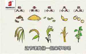 五谷是哪5种读音