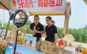 农村卖货公司起名怎么起