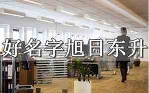 以人名取公司名字怎么取