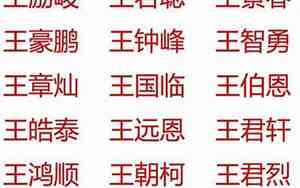 姓王的兔宝宝男孩名字大全免费