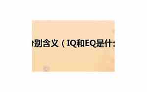 iq和eq的重要性