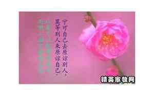人生感叹爱情的句子简短