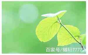 关于友情感动的唯美句子