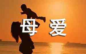 关于母爱的好段好句子有哪些呢