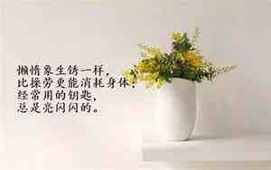 心情哲理英文短句子大全带翻译