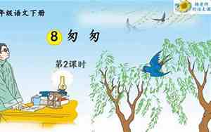 人教版第二课匆匆句子的体会和感受