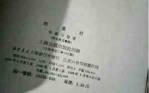 什么叫夺舍网络用语