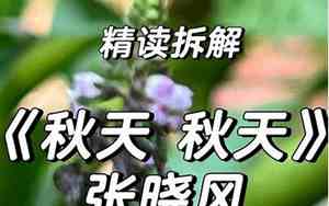 以梧桐树来结尾的句子