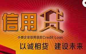 中介的公司名称