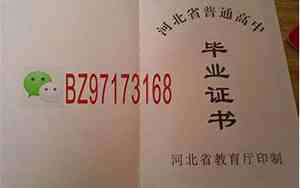 7位数的报告编号在哪里查询