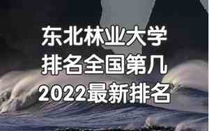 东北林业大学排名全国第几