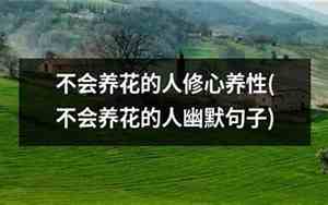 赞美家里养花的句子