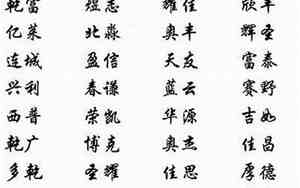 钱多的公司名字