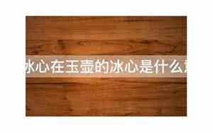亲友如相问一片冰心在玉壶是什么意思