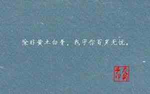 小说里的霸气爱情句子有哪些