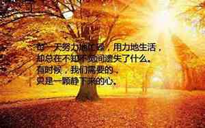 感情工作的感慨的句子