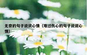 伤心的句子说说心情发朋友圈