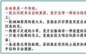 借代的句子短一点
