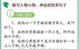 关于神态的好词好句子有哪些呢