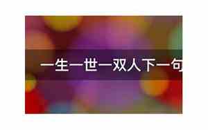 一生一世一双人下一句怎么对