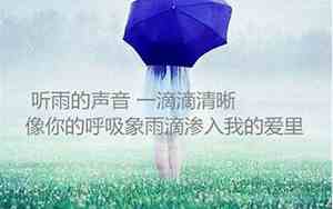 山雨的句子和体会和感受