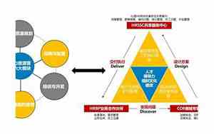 人力资源6大模块3大支柱1人力流程模块