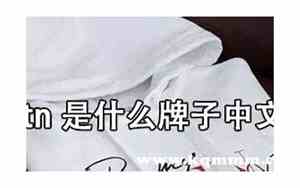 vltn翻译成中文